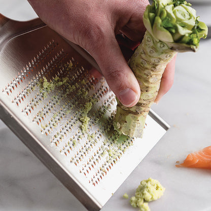 SHIMA Mini Wasabi Grater